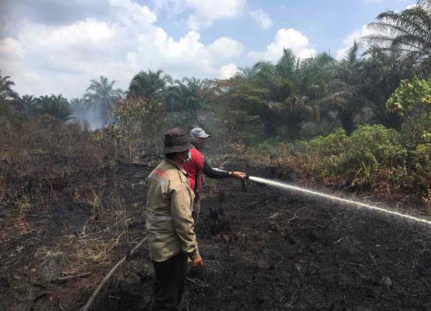 Kebakaran lahan gambut di Kecamatan Medang Kampai, Kota Dumai